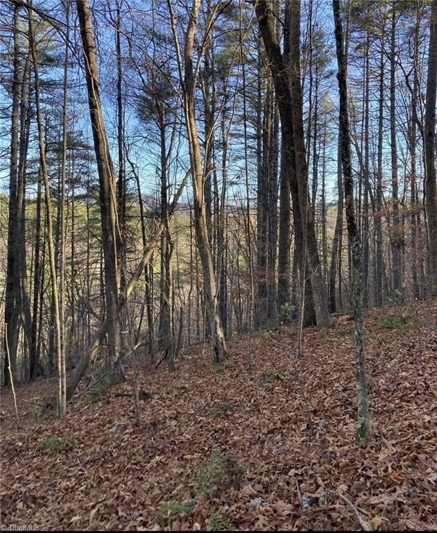 Toe River Frontage Land