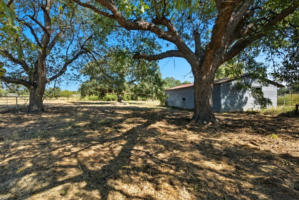 Picture 3
