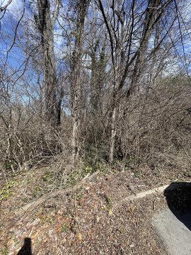 Residential Land in Morristown, TN