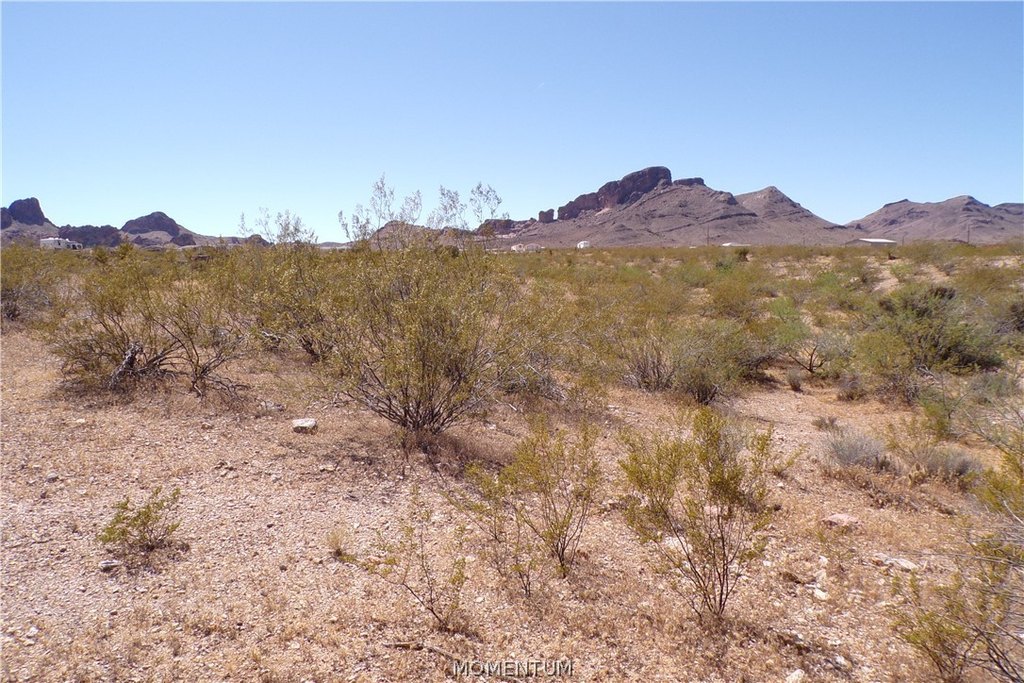 Picture 6