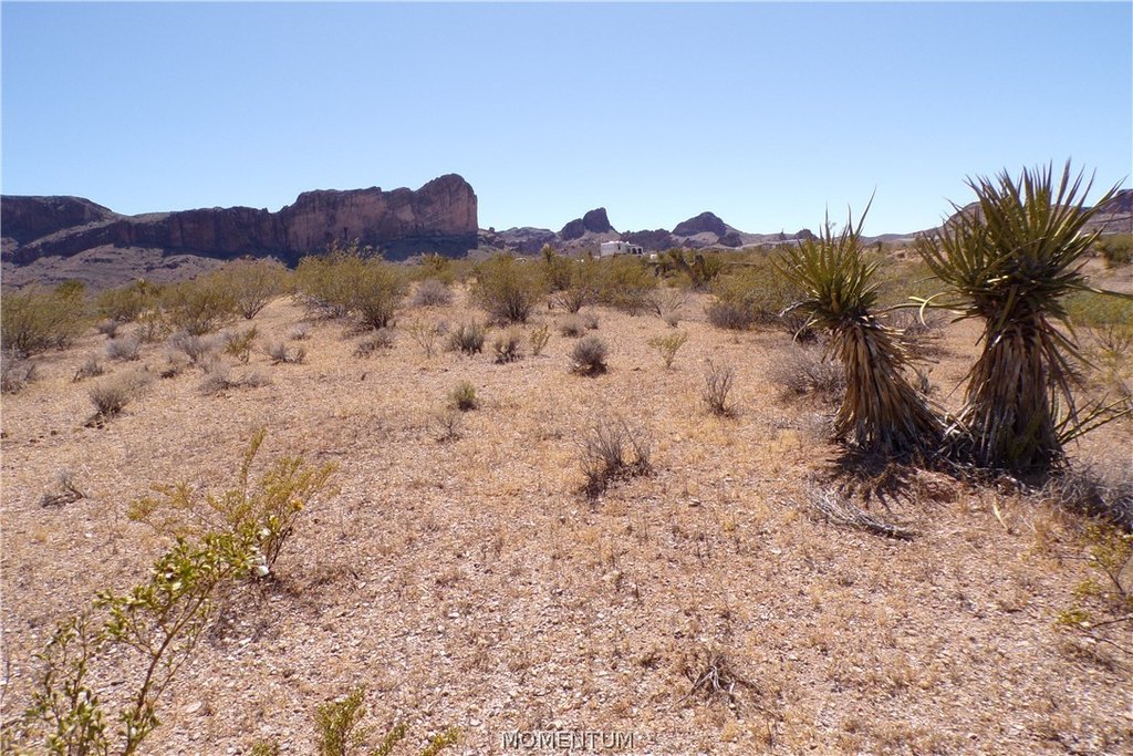 Picture 19
