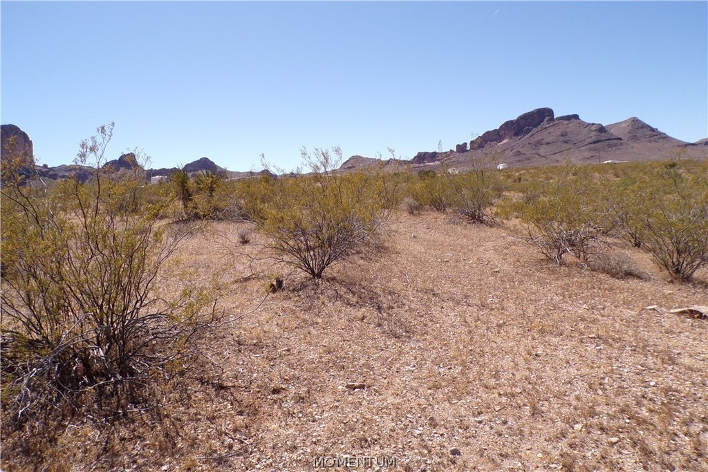 Picture 11