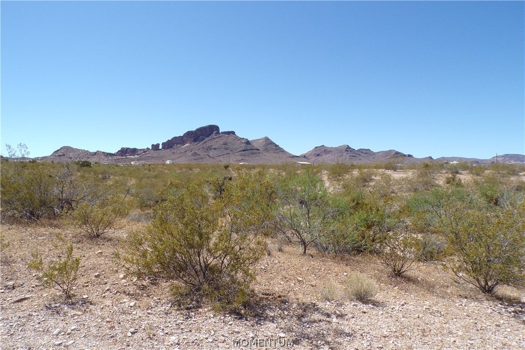 Picture 5