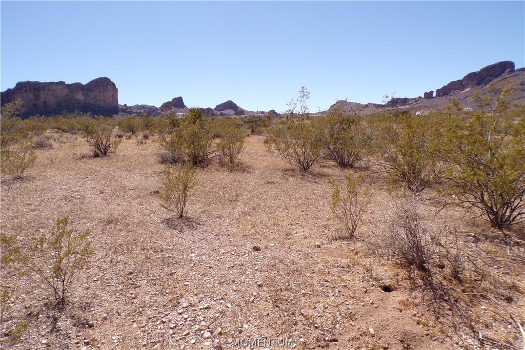 Picture 14