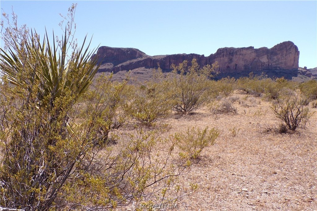 Picture 16