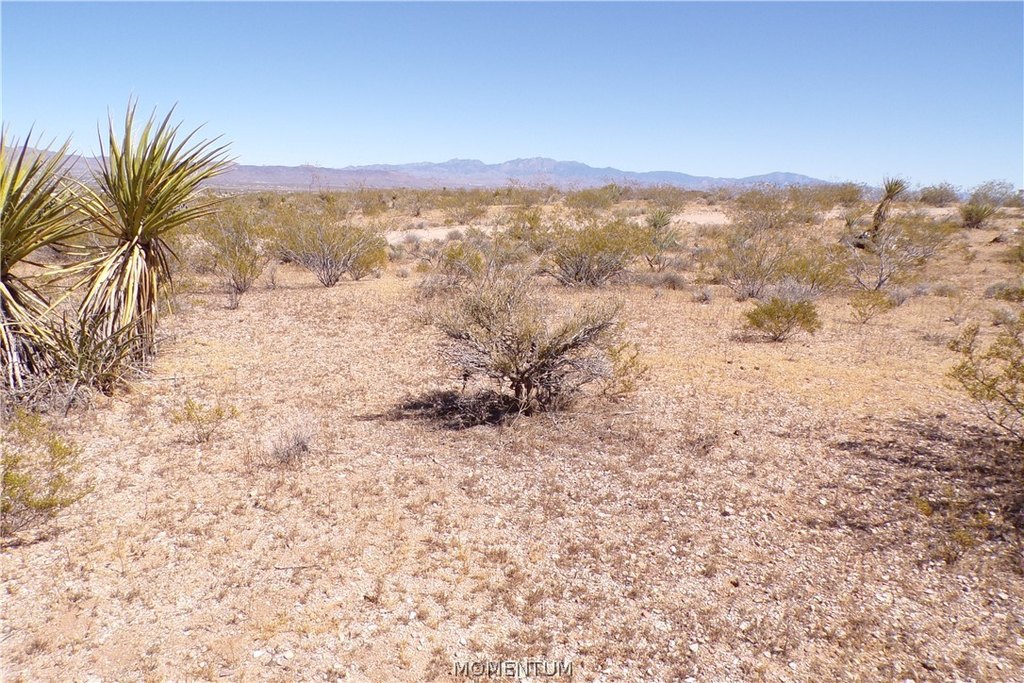 Picture 21