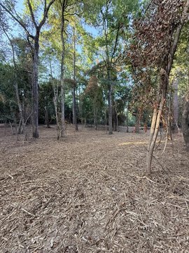 Land, Jasper, TX