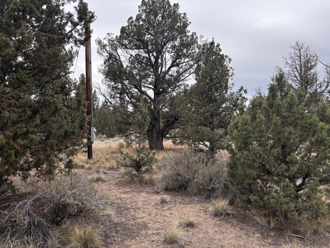 Residential Lots Near Prineville