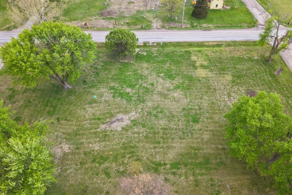 Picture 5
