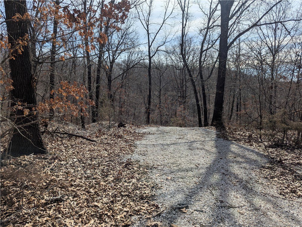 Picture 2
