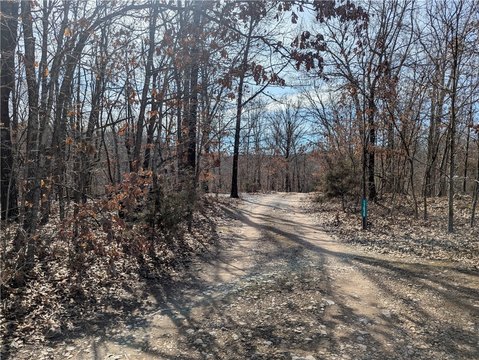 40 Acres Hunting and Timber