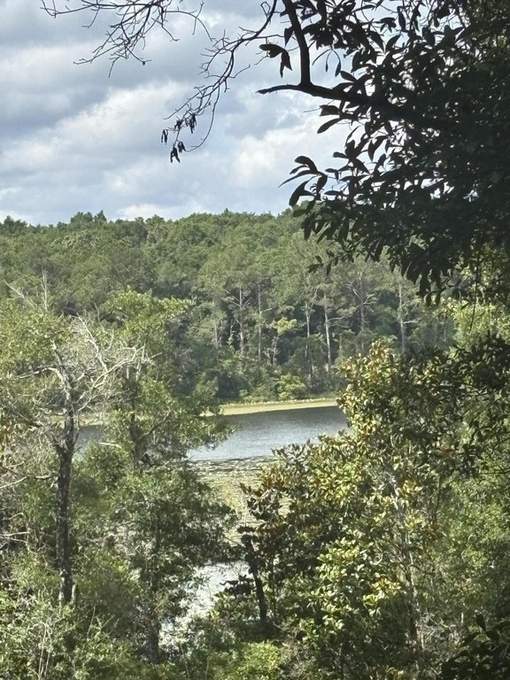 Picture 26
