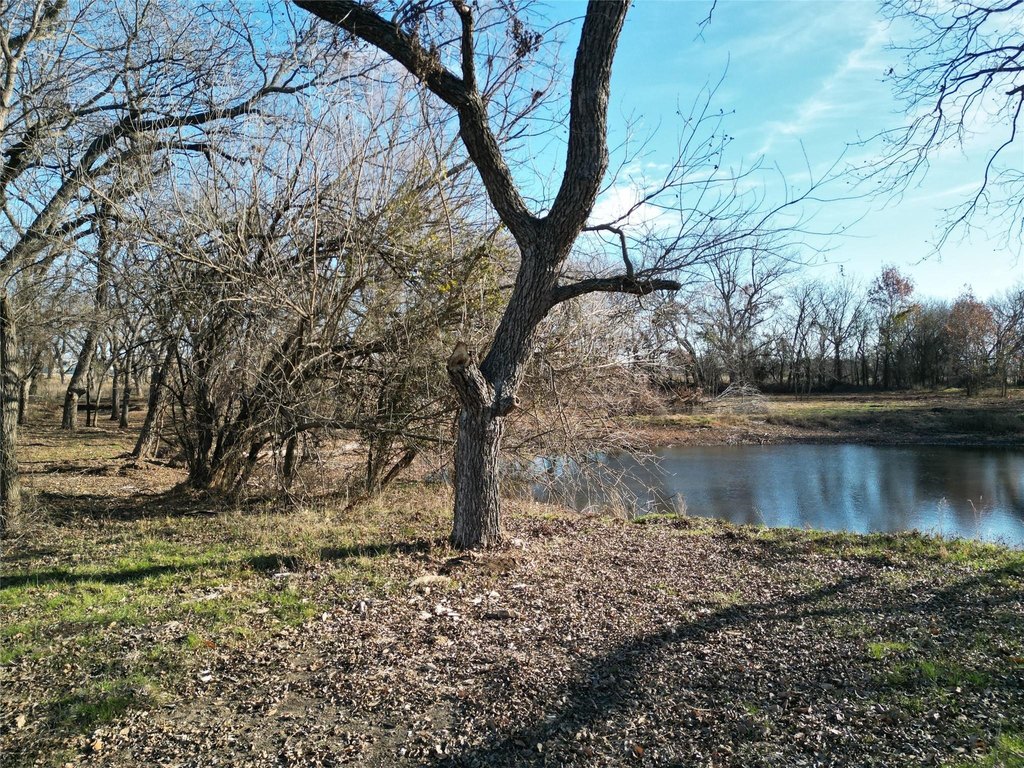 Picture 8