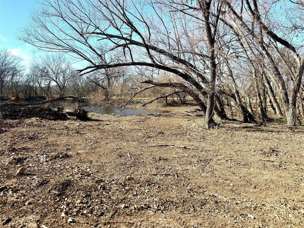 Picture 19