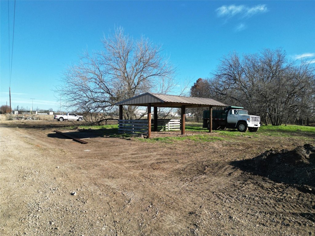 Picture 11