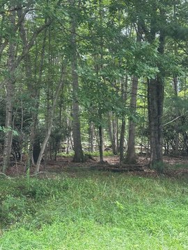 Independence, VA Land Parcel