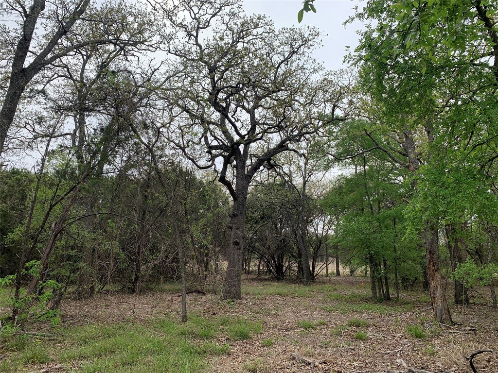 Picture 27