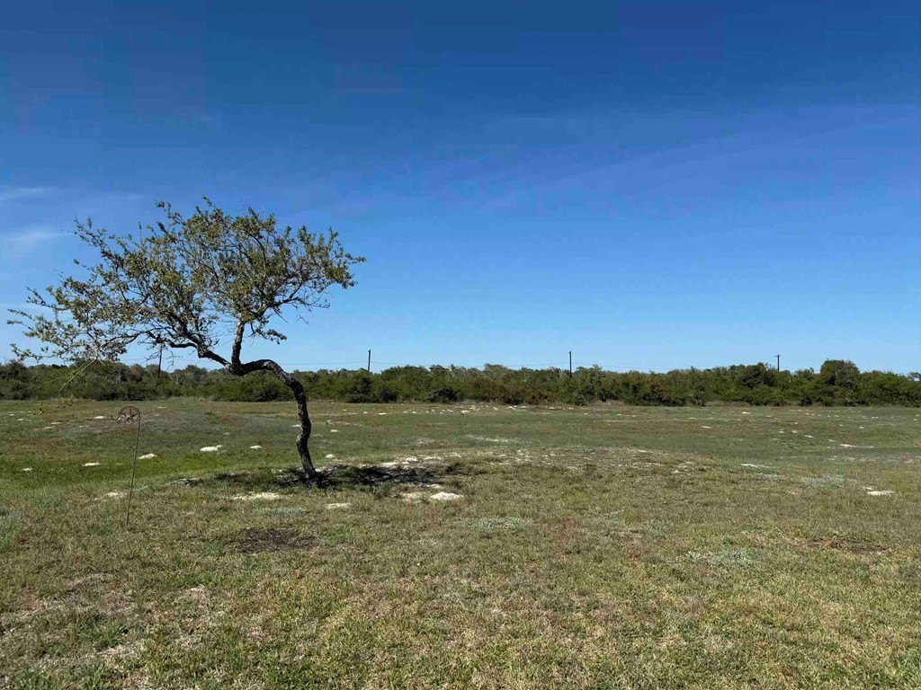 Picture 6