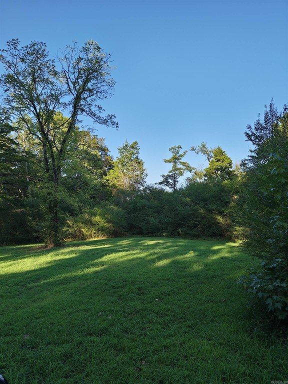 Picture 4
