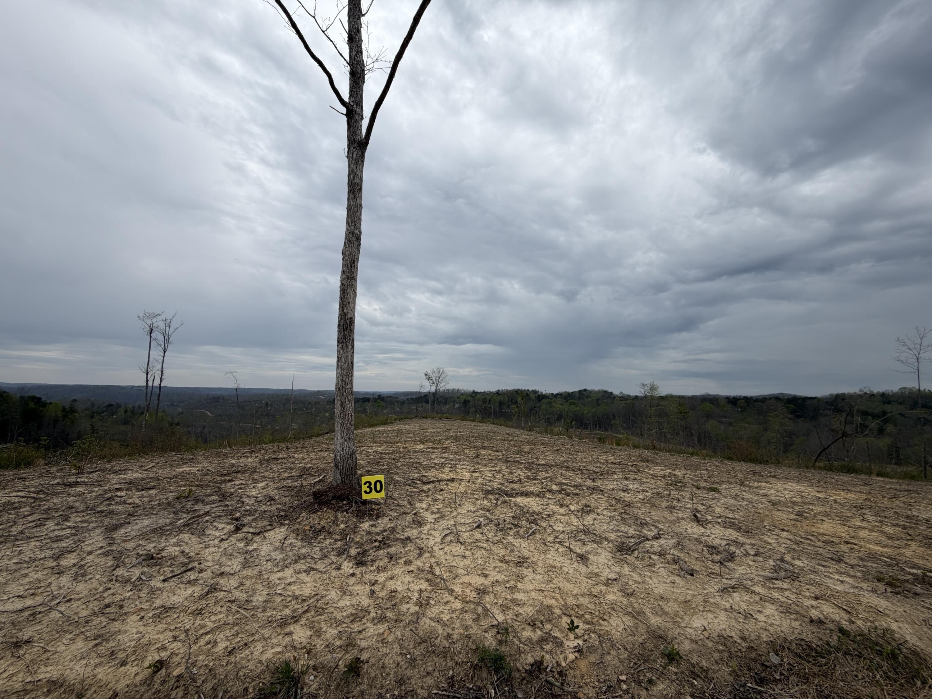 Versatile Land Near I-75