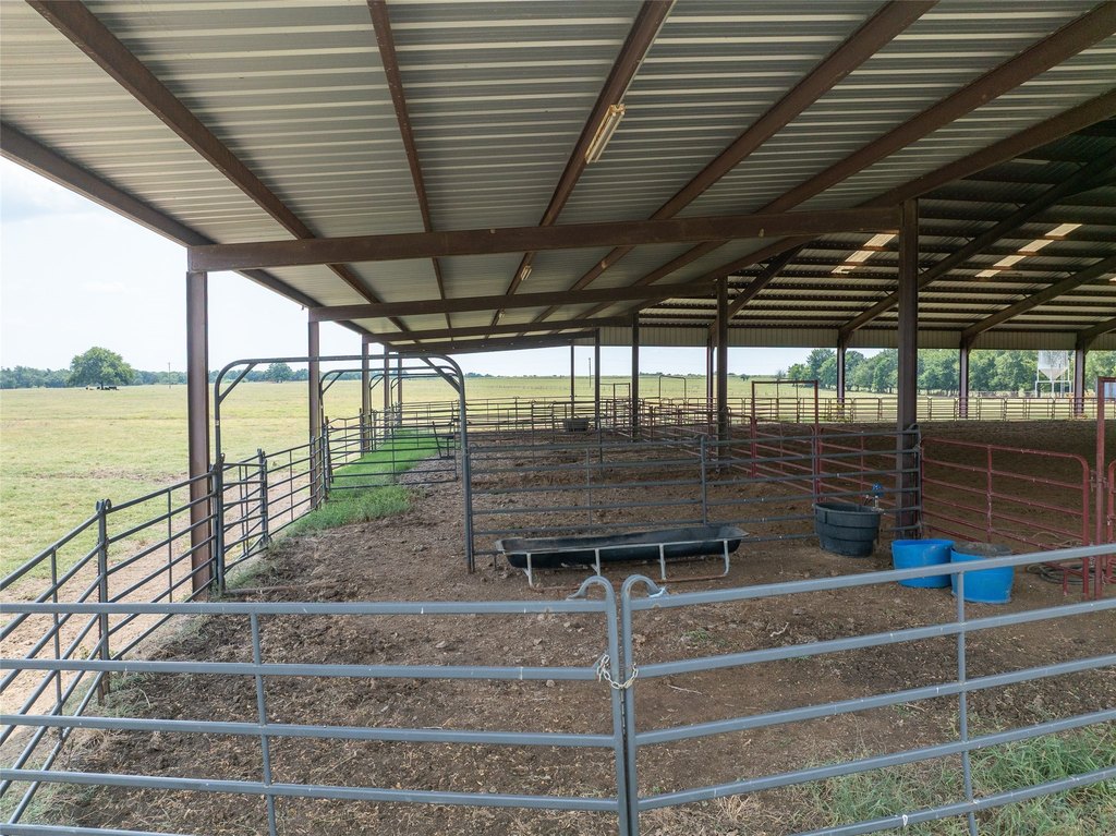 Picture 11