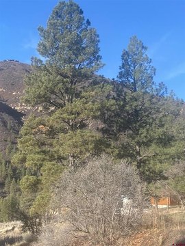 Durango, CO Land For Sale