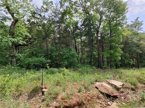 Land, Holiday Island, AR
