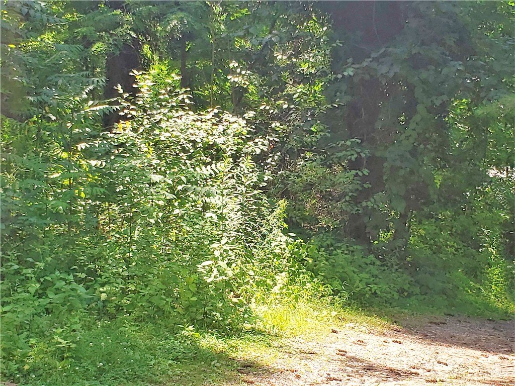 Picture 29