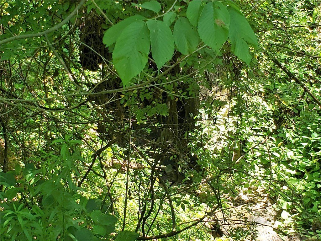 Picture 33