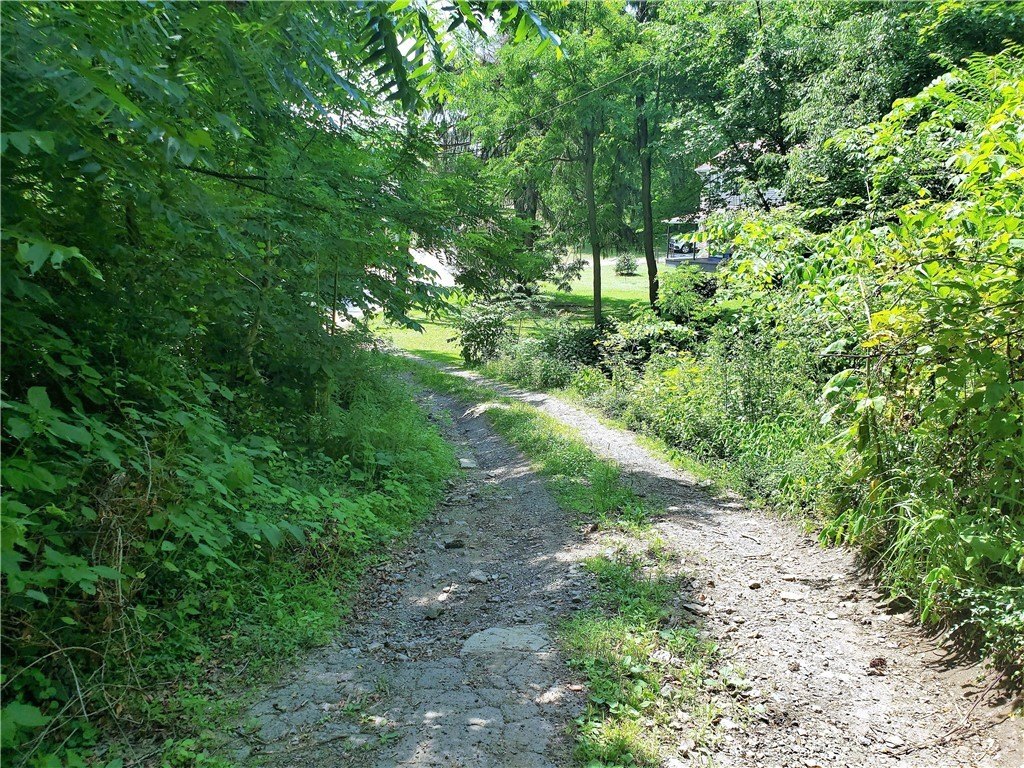 Picture 7