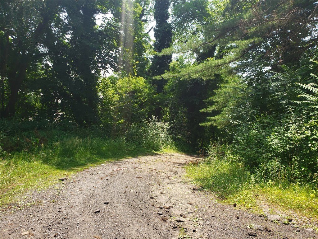 Picture 18