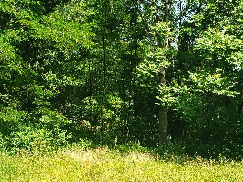 Picture 24
