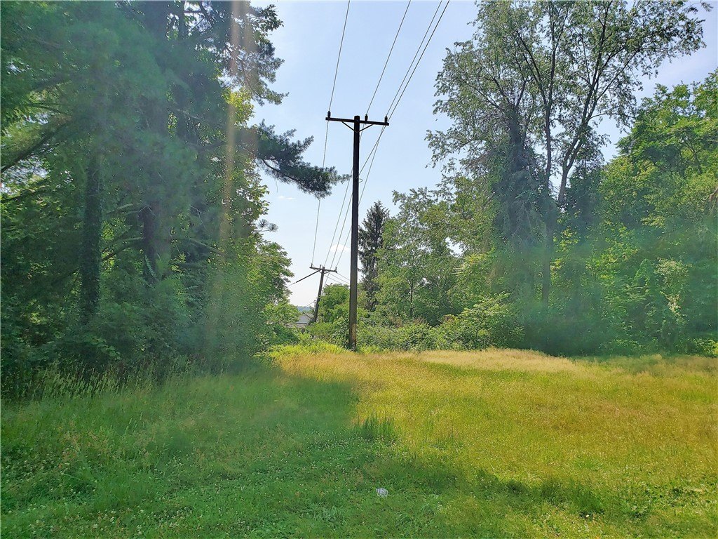 Picture 22