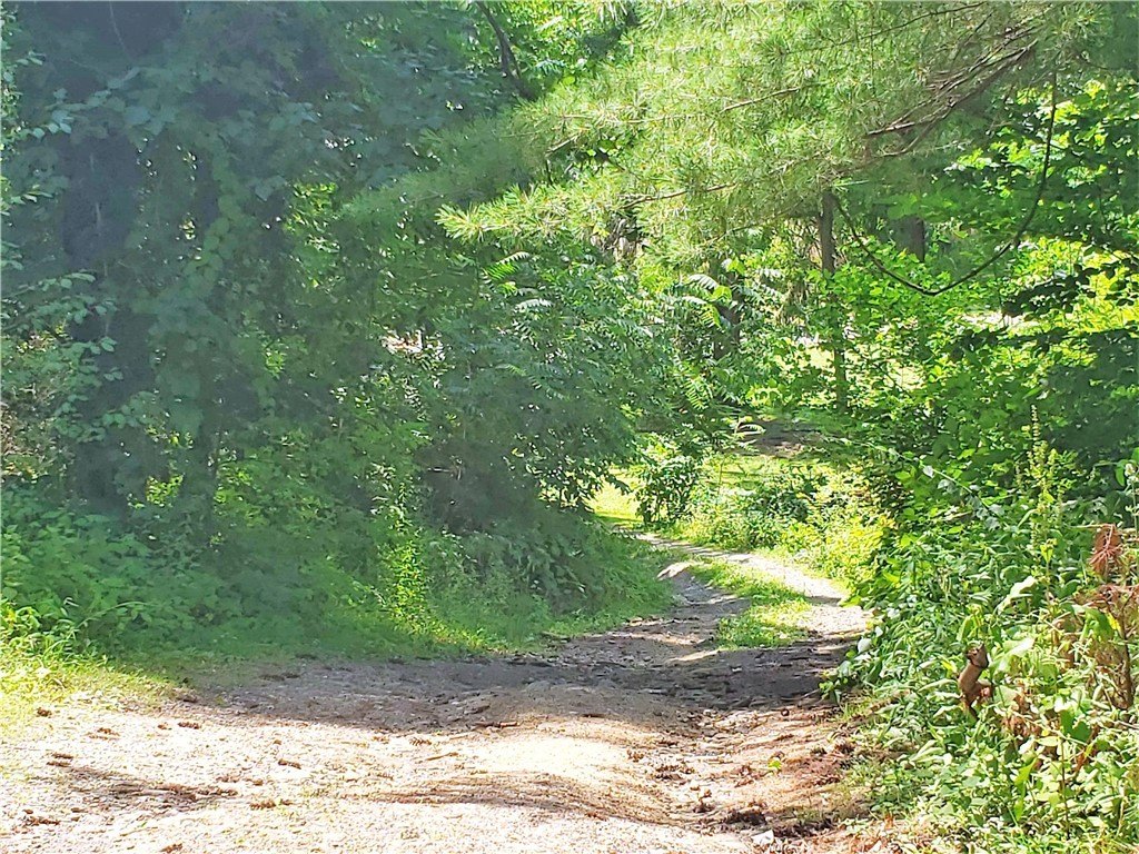 Picture 28