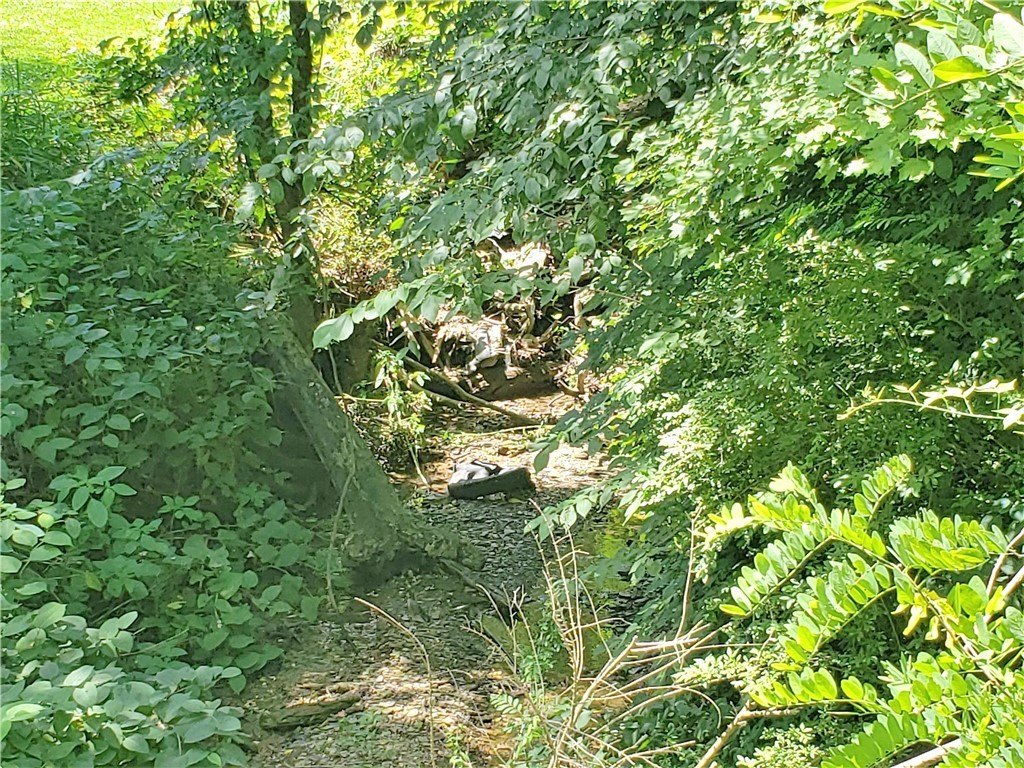 Picture 30