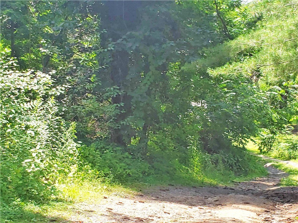 Picture 27