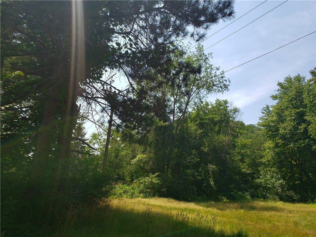Picture 21