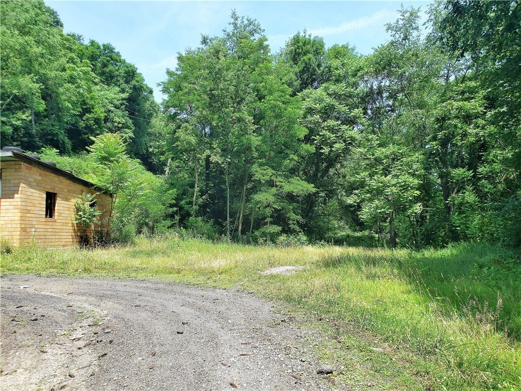 Picture 11