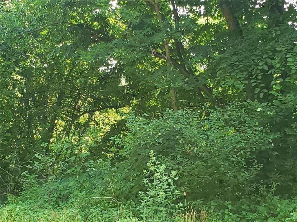 Picture 26