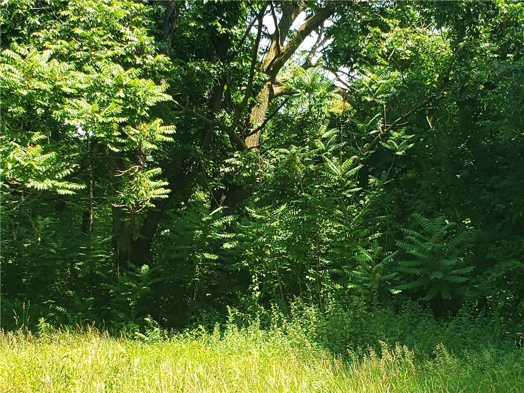 Picture 25