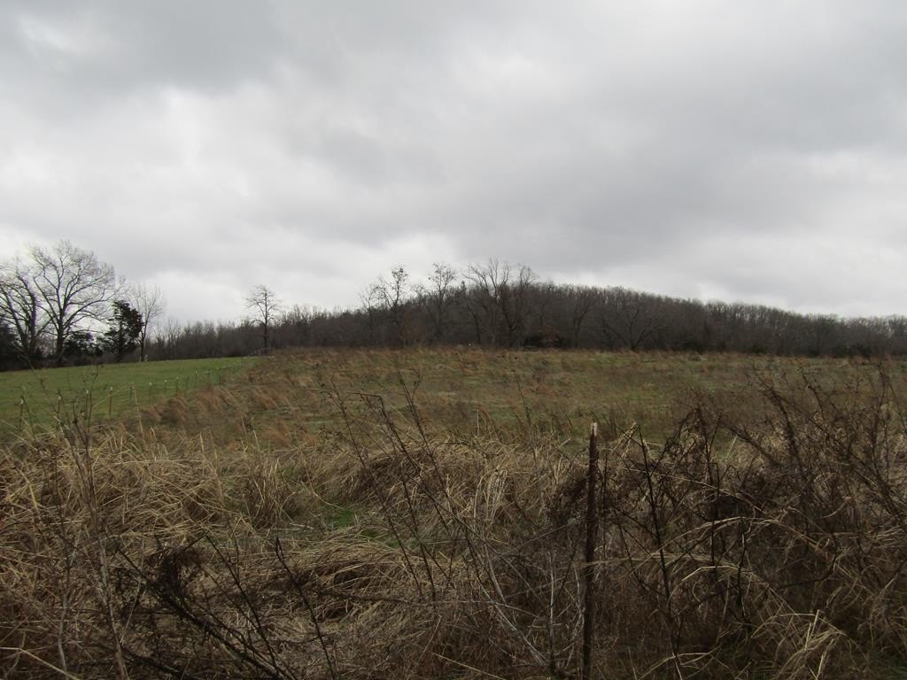 Byrdstown Land with Mountain Views