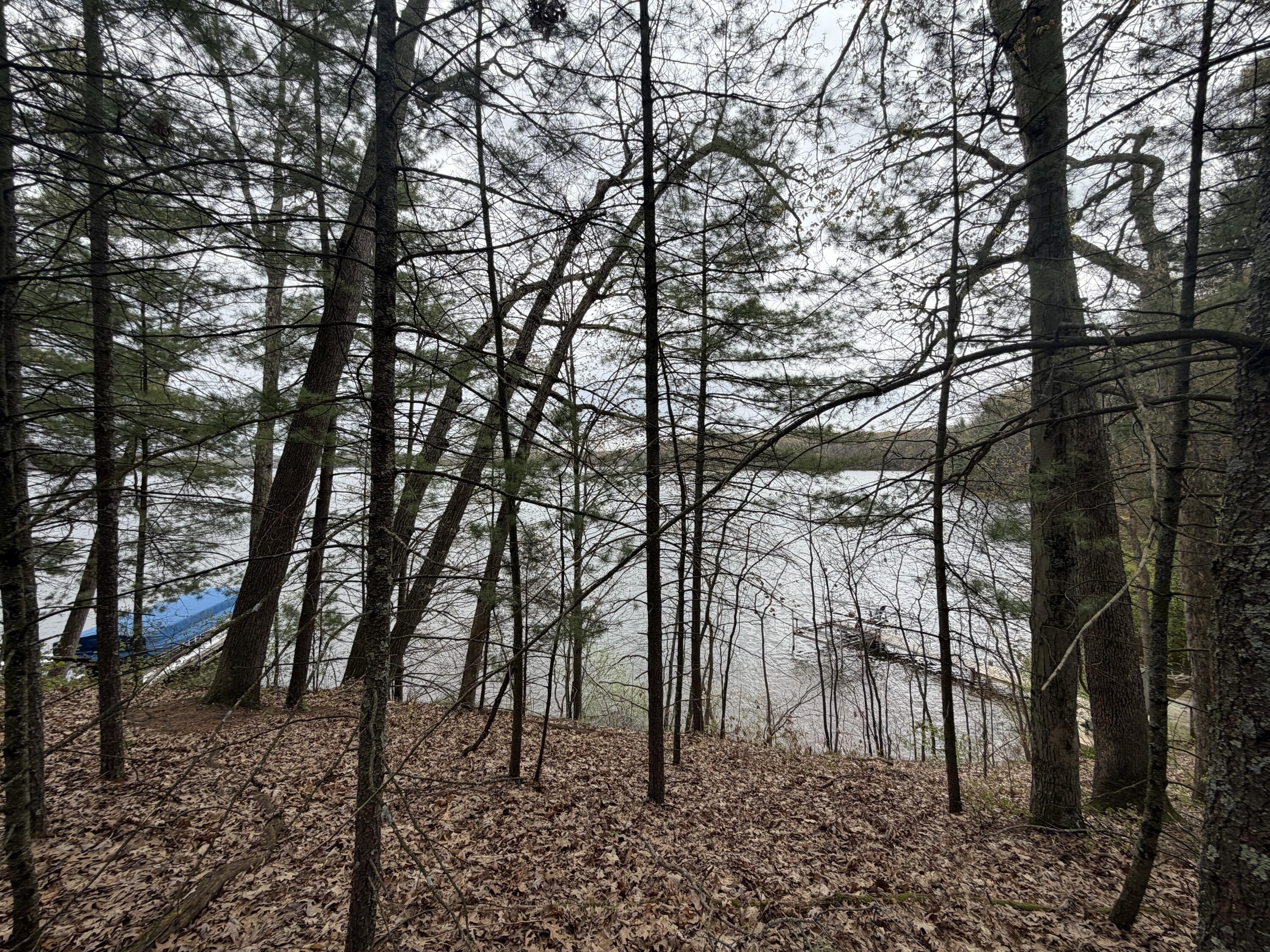 Lake Allegan Waterfront Land Parcel
