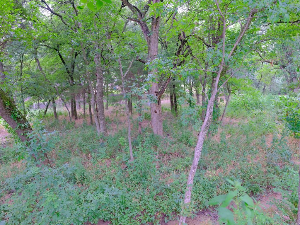 Picture 23