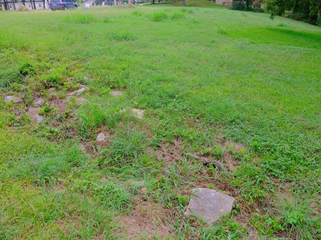 Picture 14