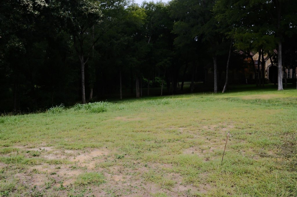 Picture 31