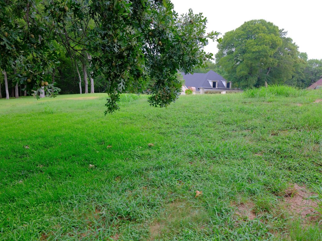 Picture 24