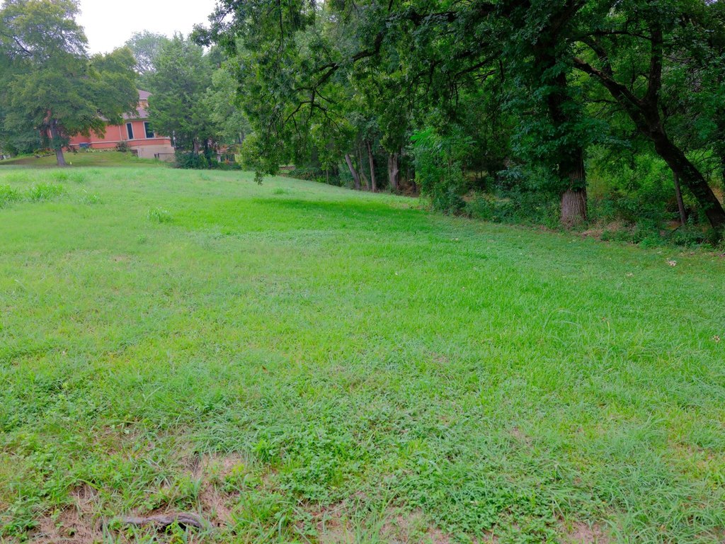 Picture 13