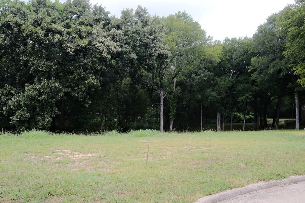 Picture 28