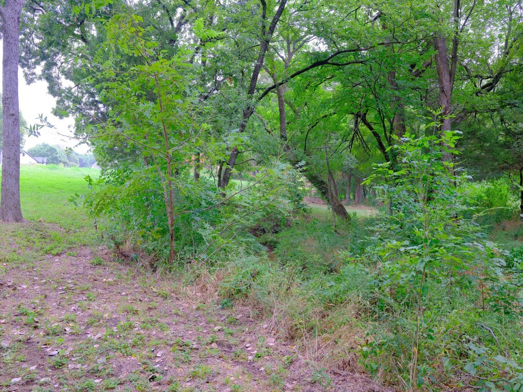 Picture 16