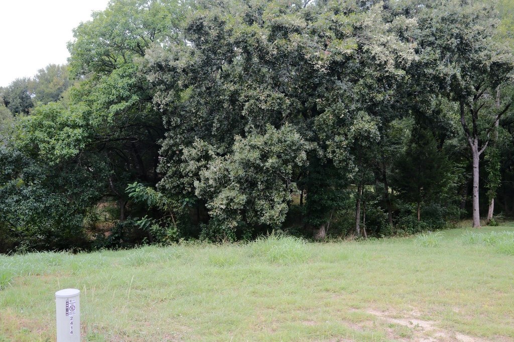 Picture 29